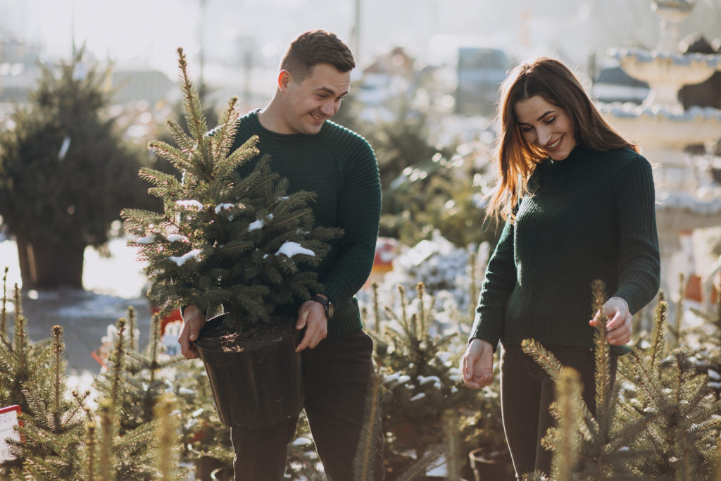 Young family choosing christmas tree in a greenhouse